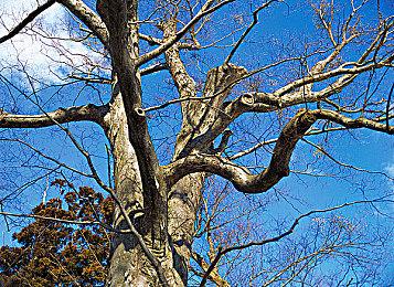 《最终幻想7》剧本企画野岛一成表示 不再对参与的游戏发表意见